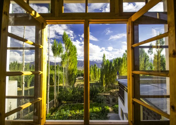 Cost of Wood Window Replacement in Puyallup