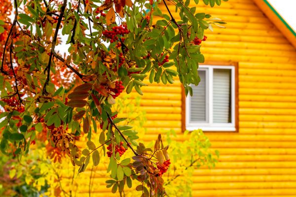 Cost of Garden Window Replacement in Puyallup